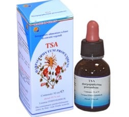 Tsa Harpagophytum Procumbes - Raíz