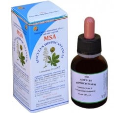 Msa Aesculus Hippocastanum (Castaño de Indias) - Yemas