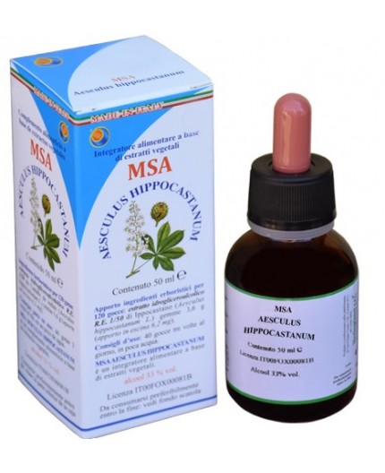 Msa Aesculus Hippocastanum (Castaño de Indias) - Yemas