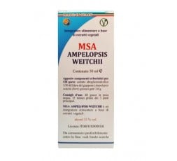 Msa Ampelopsis Weitchii  (Hiedra)