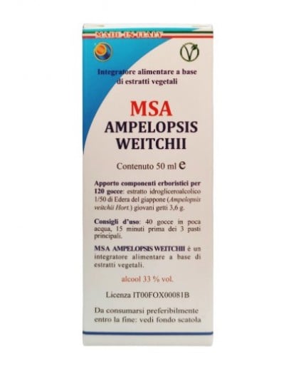 Msa Ampelopsis Weitchii  (Hiedra)