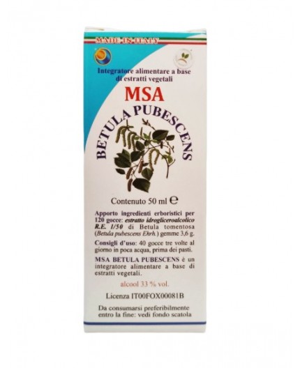 Msa Betula Pubescens - Yemas