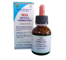 Msa Betula Verrucosa  (Abedul) - Yemas