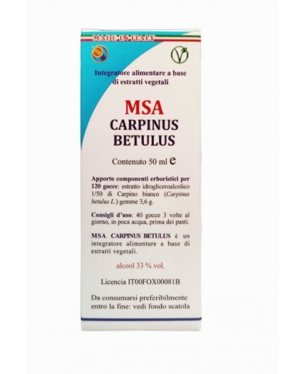 Msa Carpinus Betulus  (Carpe Blanco) - Yemas