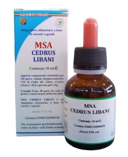 Msa Cedrus Libani