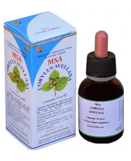 Msa Corylus Avellana  (Avellano) - Yemas