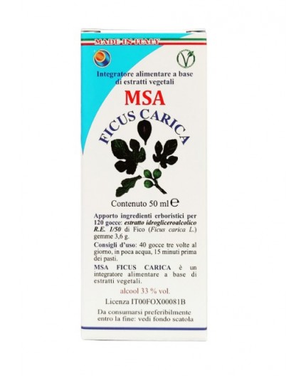 Msa Ficus Carica  (Higuera) - Yemas