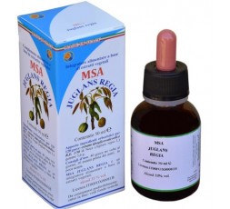 Msa Juglans Regia  (Nogal) - Yemas