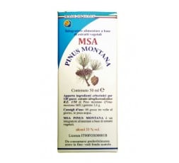 Msa Pinus Montana  (Pino Negro) - Yemas