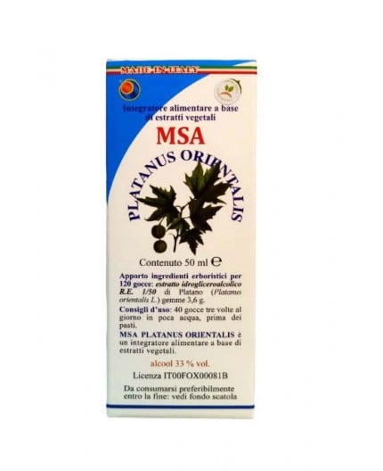 Msa Platanus Orientalis  (Plátano) - Yemas