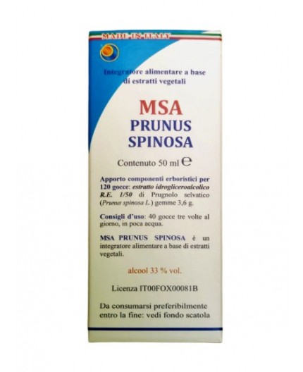 Msa Prunus Spinosa  (Endrino) - Yemas