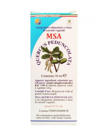 Msa Quercus Peduncolata  (Roble) - Yemas