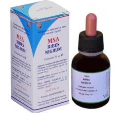 Msa Ribes Nigrum  (Grosellero Negro) - Yemas