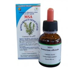 Msa Rosmarinus Officinalis Jóvenes Brotes