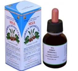 Msa Sorbus Domestica  (Serbal Común) - Yemas