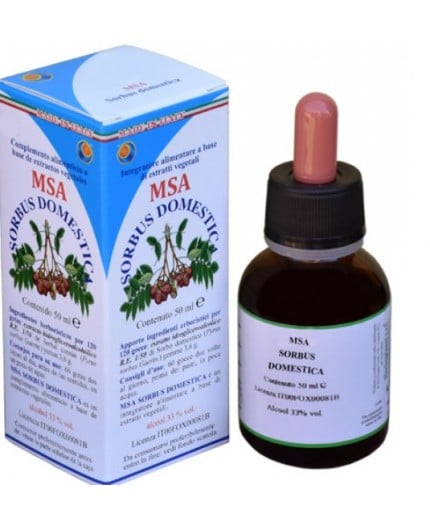 Msa Sorbus Domestica  (Serbal Común) - Yemas