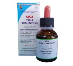 Msa Tilia Tomentosa  (Tilo Plateado) - Yemas