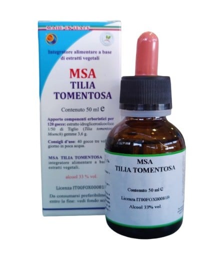 Msa Tilia Tomentosa  (Tilo Plateado) - Yemas
