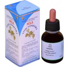 Msa Vitis Vinifera  (Vid Roja) - Yemas