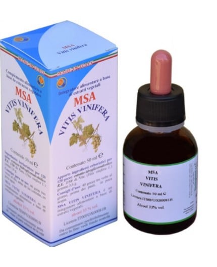 Msa Vitis Vinifera  (Vid Roja) - Yemas