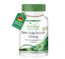 Extracto de Gotu Kola  (Centella Asiatica)