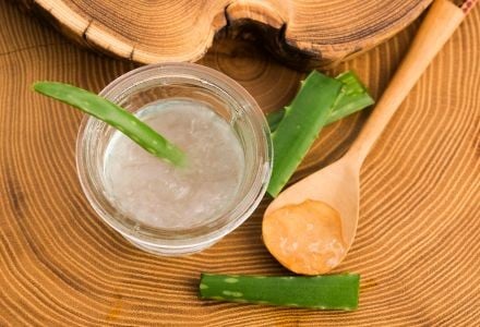 El Milagro Verde: Aloe Vera Canario