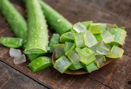 ¡Increíble! Los Beneficios Ocultos del Aloe Vera que Nadie te Contó