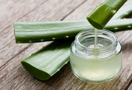 Die Kraft der Aloe Vera: Wundersame Eigenschaften und praktische Anwendungen in Ihrem täglichen Leben